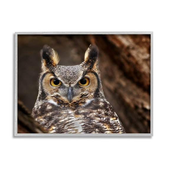 Stupell Industries Horned Owl Nature Photography Animals & Insects Photography Gray Framed Art Print Wall Art