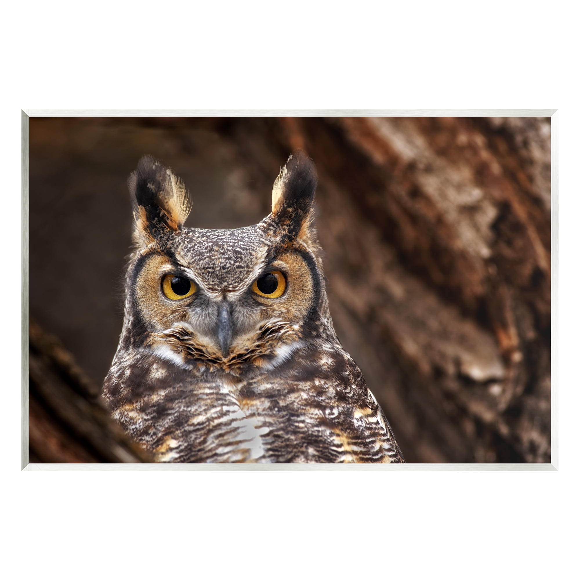 Stupell Industries Horned Owl Nature Photography Animals & Insects Photography Unframed Art Print Wall Art