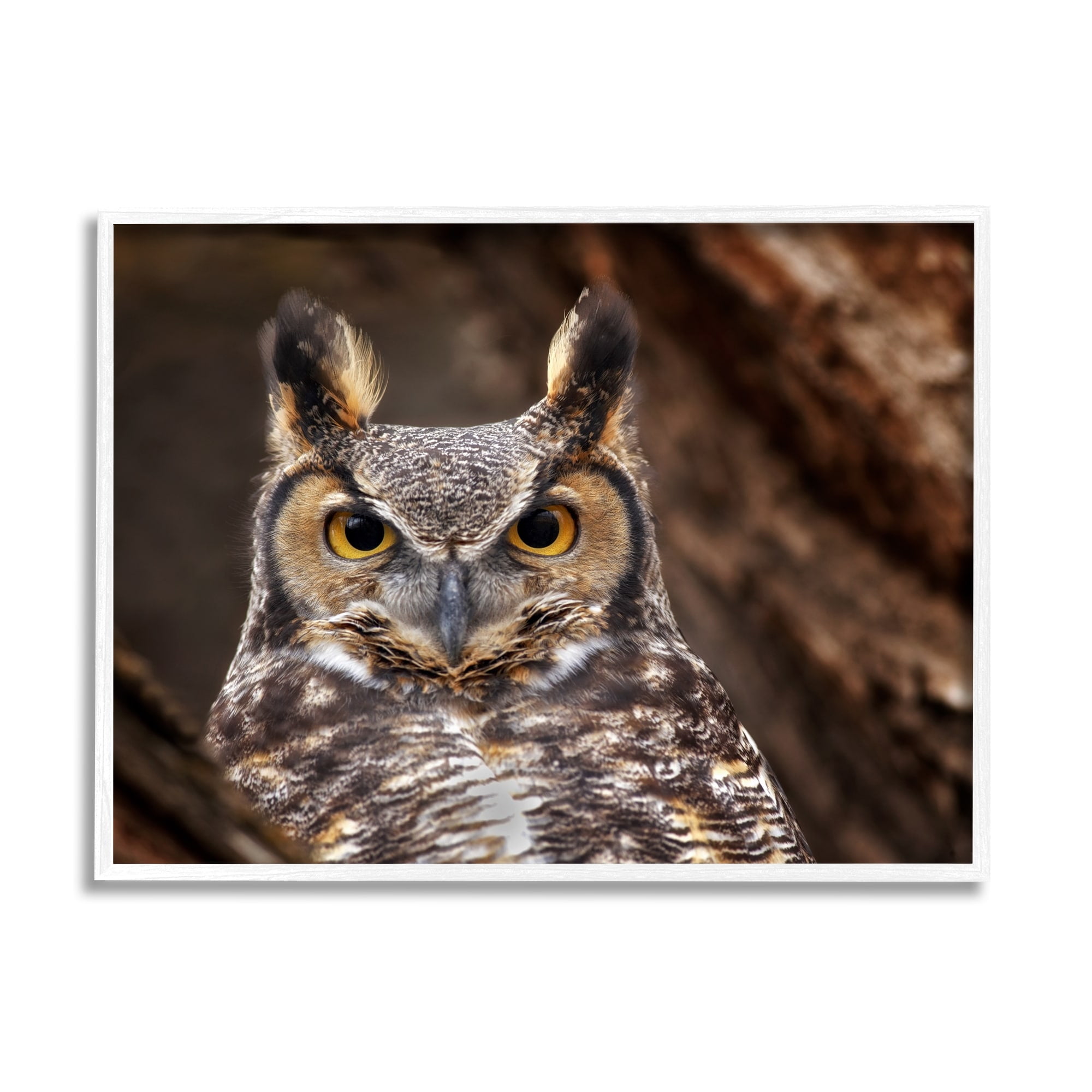 Stupell Industries Horned Owl Nature Photography Animals & Insects Photography White Framed Art Print Wall Art