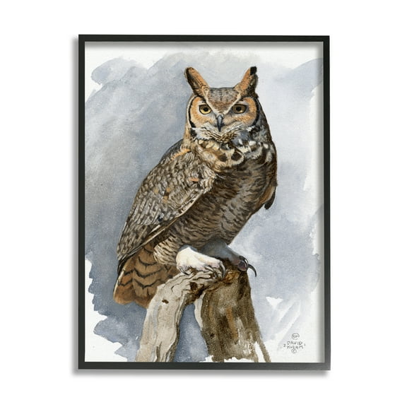 Stupell Industries Horned Owl Perched Animals & Insects Painting Black Framed Art Print Wall Art, 11 x 14