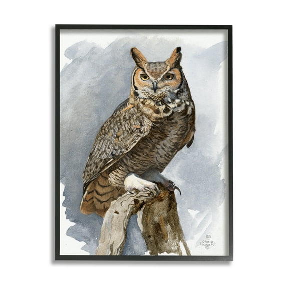 Stupell Industries Horned Owl Perched Animals & Insects Painting Black Framed Art Print Wall Art, 16 x 20