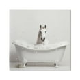 thumbnail image 1 of Stupell Industries Horse Bubble Bath Animals & Insects Painting Gallery Wrapped Canvas Art Print Wall Art, 17 x 17, 1 of 8