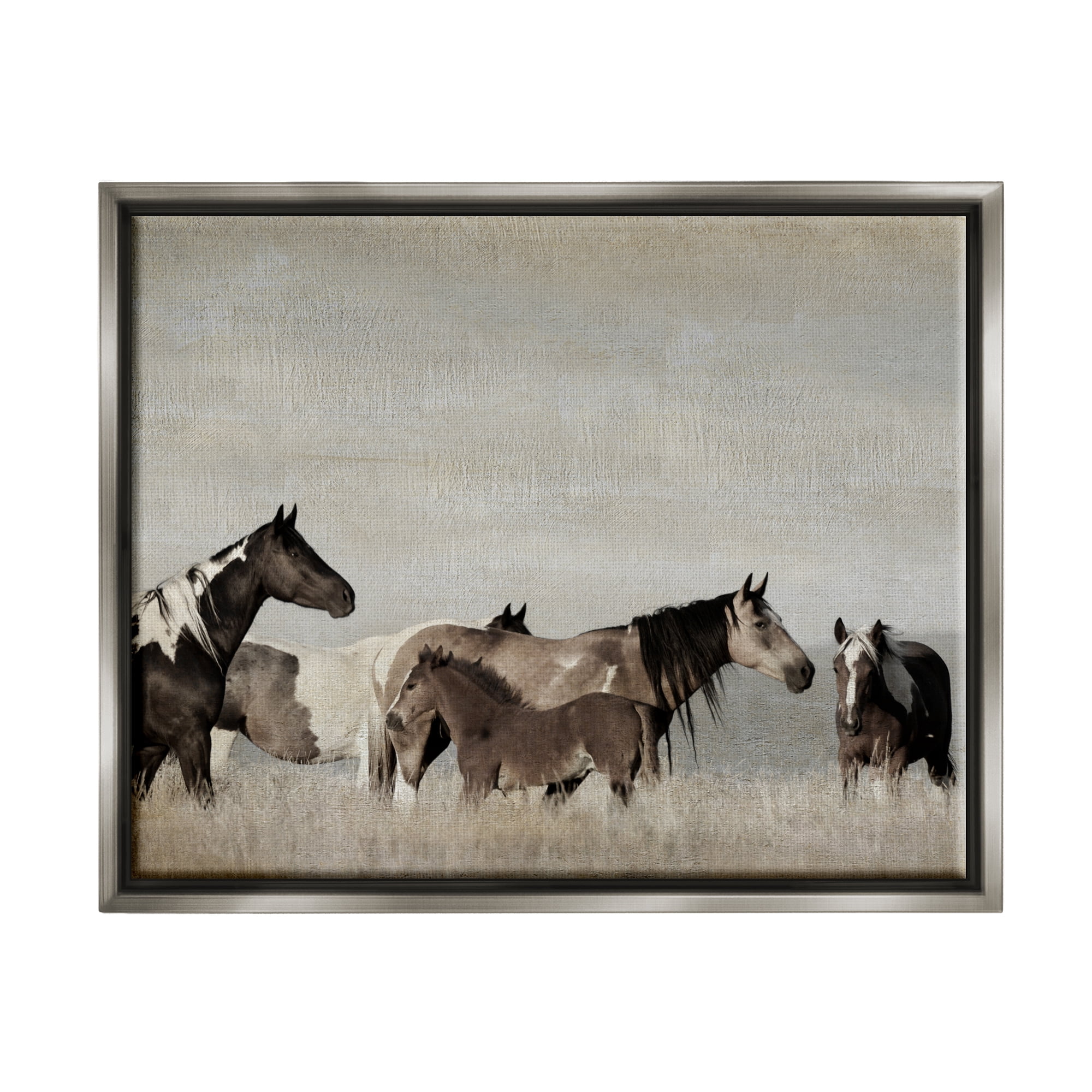 Stupell Industries Horse Family Foals Grazing Animals & Insects Photography Gray Floater Framed Art Print Wall Art