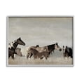 thumbnail image 1 of Stupell Industries Horse Family Foals Grazing Animals & Insects Photography Gray Framed Art Print Wall Art, 1 of 5