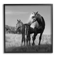 thumbnail image 1 of Stupell Industries Horse & Foal Photography Landscape Photography Black Framed Art Print Wall Art, 12 x 12, 1 of 9