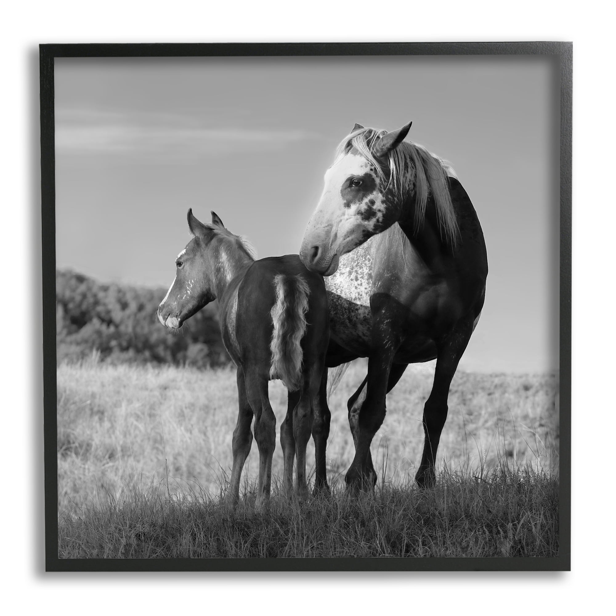 Stupell Industries Horse & Foal Photography Landscape Photography Black Framed Art Print Wall Art, 17 x 17