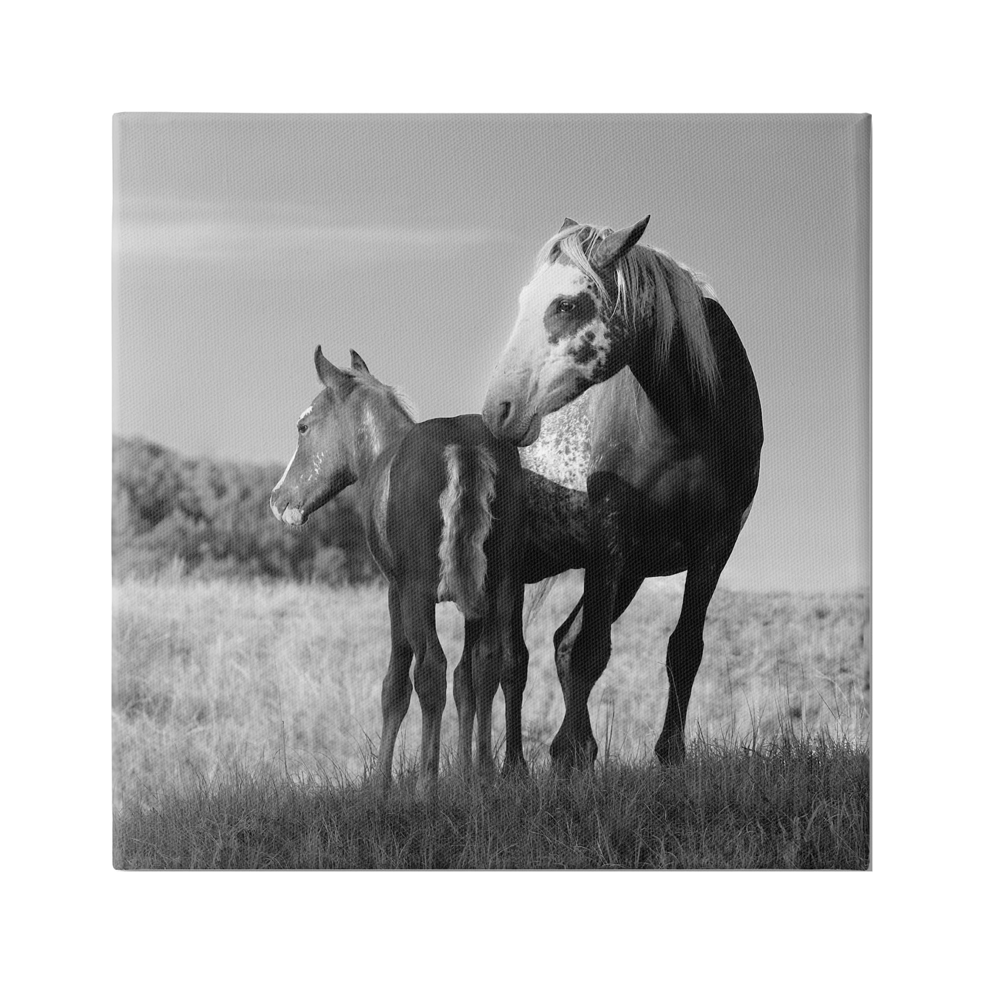 Stupell Industries Horse & Foal Photography Landscape Photography Gallery Wrapped Canvas Art Print Wall Art, 17 x 17