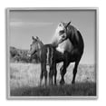 thumbnail image 1 of Stupell Industries Horse & Foal Photography Landscape Photography Gray Framed Art Print Wall Art, 12 x 12, 1 of 9