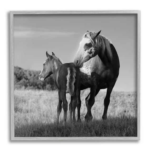 Stupell Industries Horse & Foal Photography Landscape Photography Gray Framed Art Print Wall Art, 12 x 12
