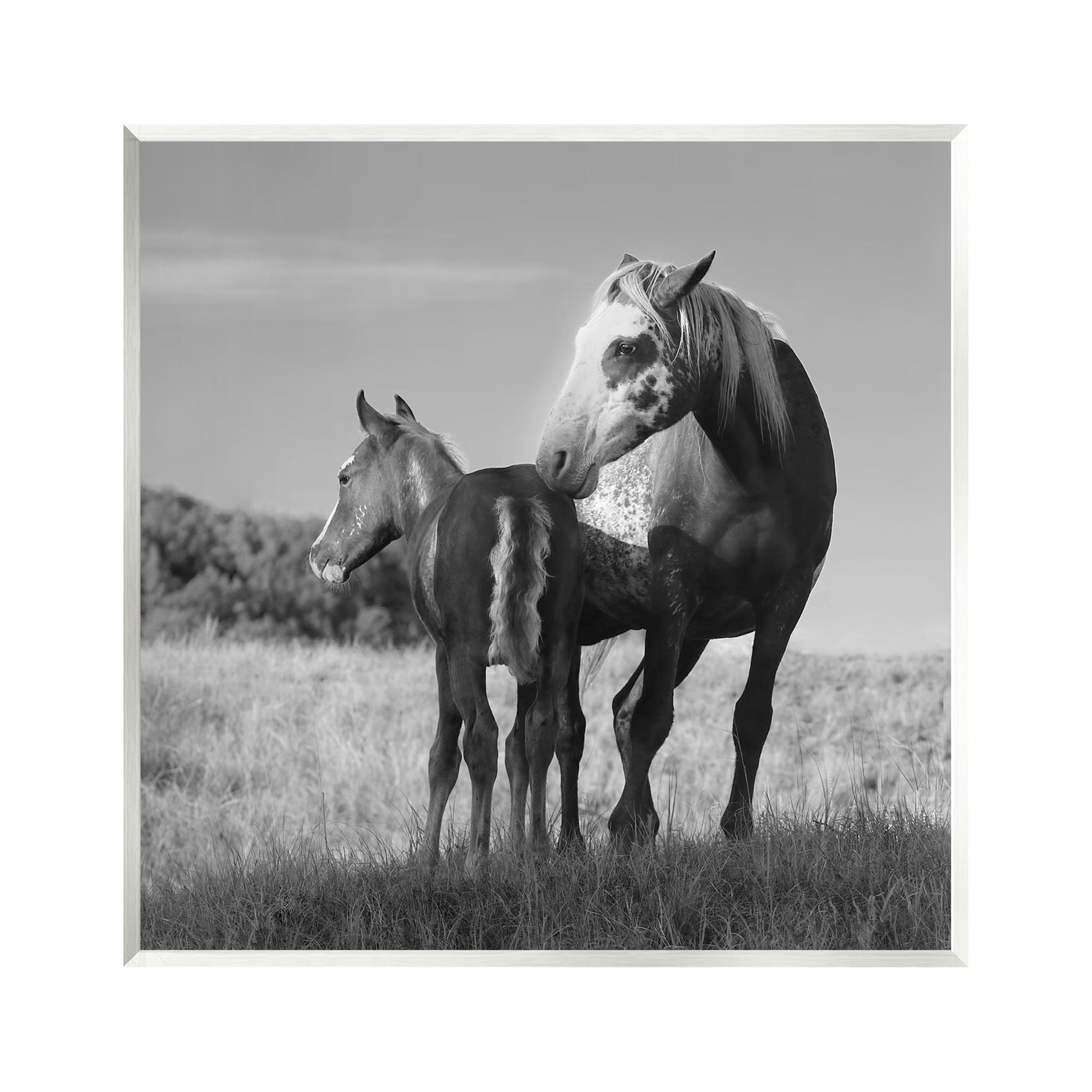 Stupell Industries Horse & Foal Photography Landscape Photography Unframed Art Print Wall Art, 12 x 12