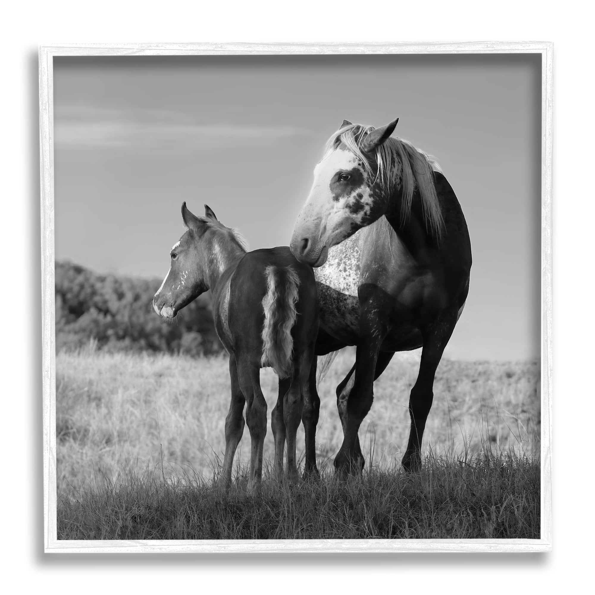 Stupell Industries Horse & Foal Photography Landscape Photography White Framed Art Print Wall Art, 17 x 17