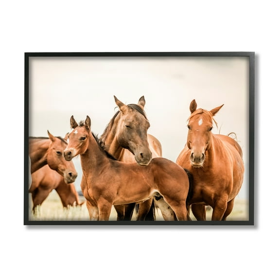 Stupell Industries Horse & Foals Photography Animals & Insects Photography Black Framed Art Print Wall Art, 14 x 11