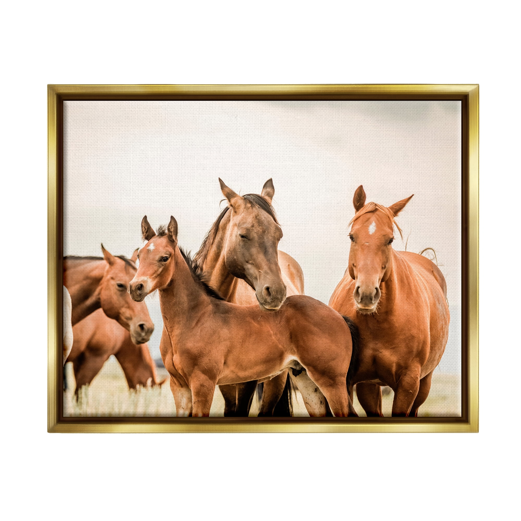 Stupell Industries Horse & Foals Photography Animals & Insects Photography Gold Floater Framed Canvas Art Print Wall Art, 31 x 25