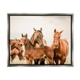thumbnail image 1 of Stupell Industries Horse & Foals Photography Animals & Insects Photography Gray Floater Framed Canvas Art Print Wall Art, 21 x 17, 1 of 10