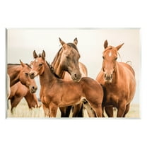 Stupell Industries Horse & Foals Photography Animals & Insects Photography Unframed Art Print Wall Art, 15 x 10