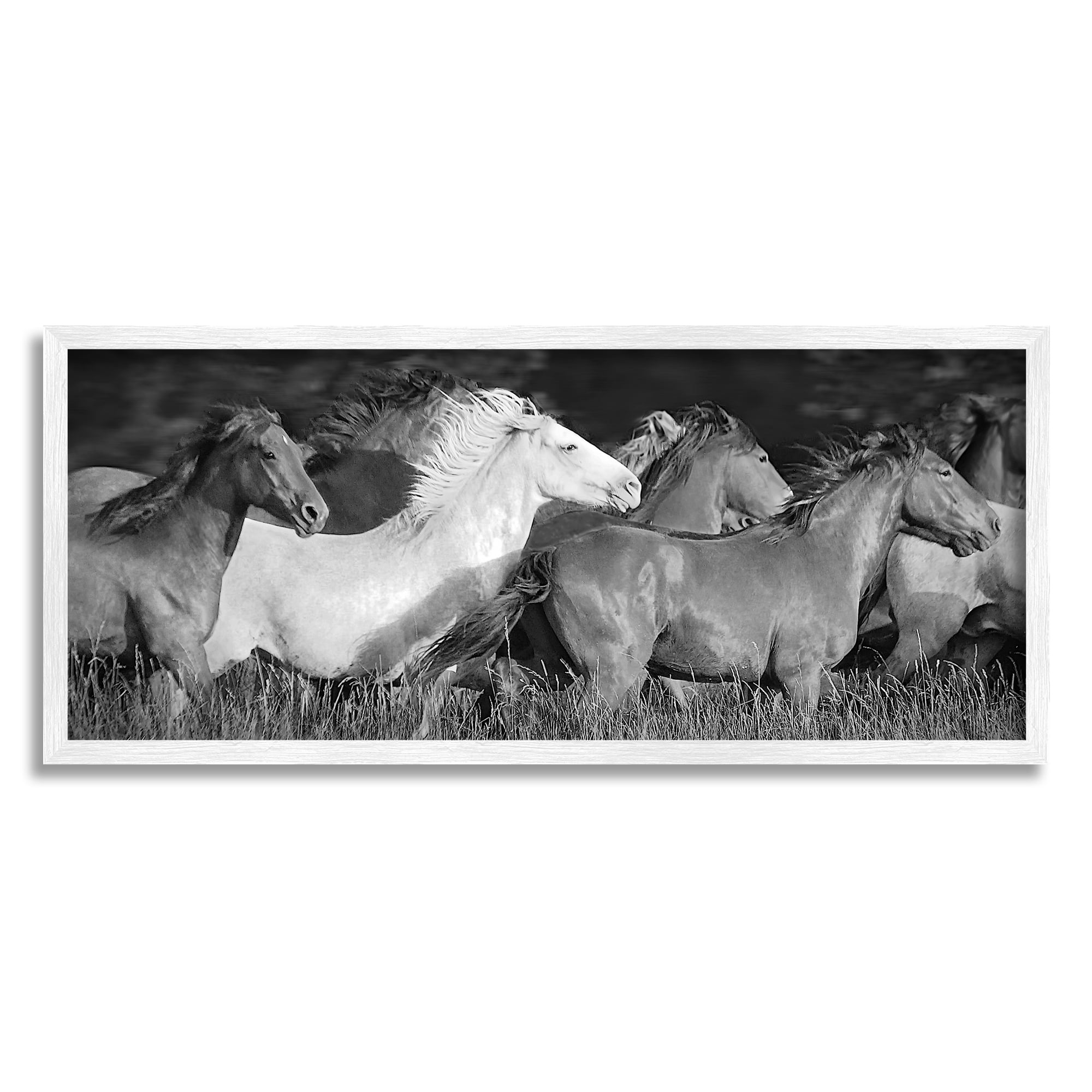 Stupell Industries Horse Herd Galloping Animals & Insects Photography White Framed Art Print Wall Art, 24 x 10