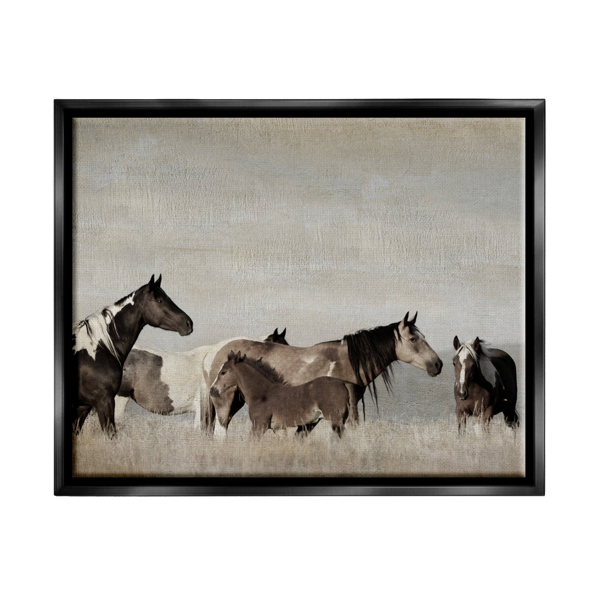 Stupell Industries Horse Herd with Foal Animals & Insects Photography Black Floater Framed Canvas Art Print Wall Art, 21 x 17