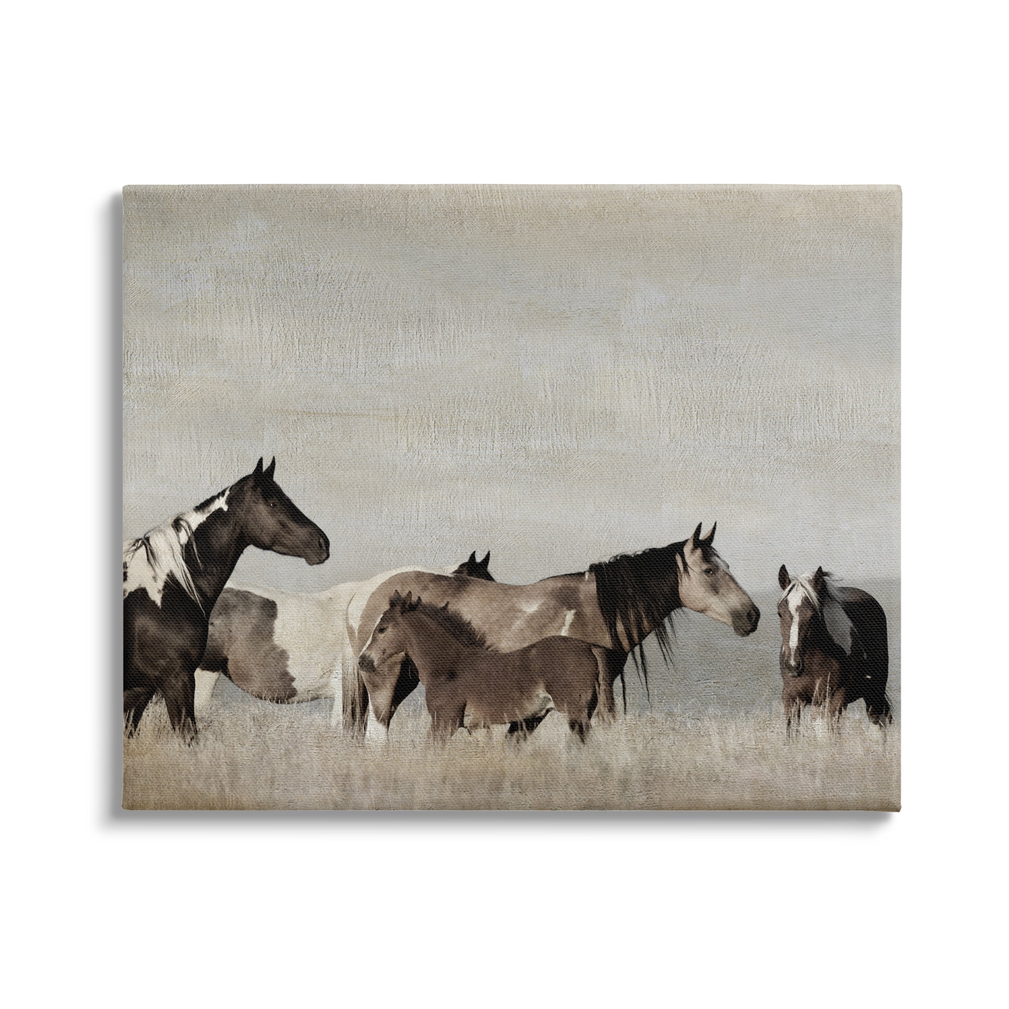 Stupell Industries Horse Herd with Foal Animals & Insects Photography Gallery Wrapped Canvas Art Print Wall Art, 48 x 36
