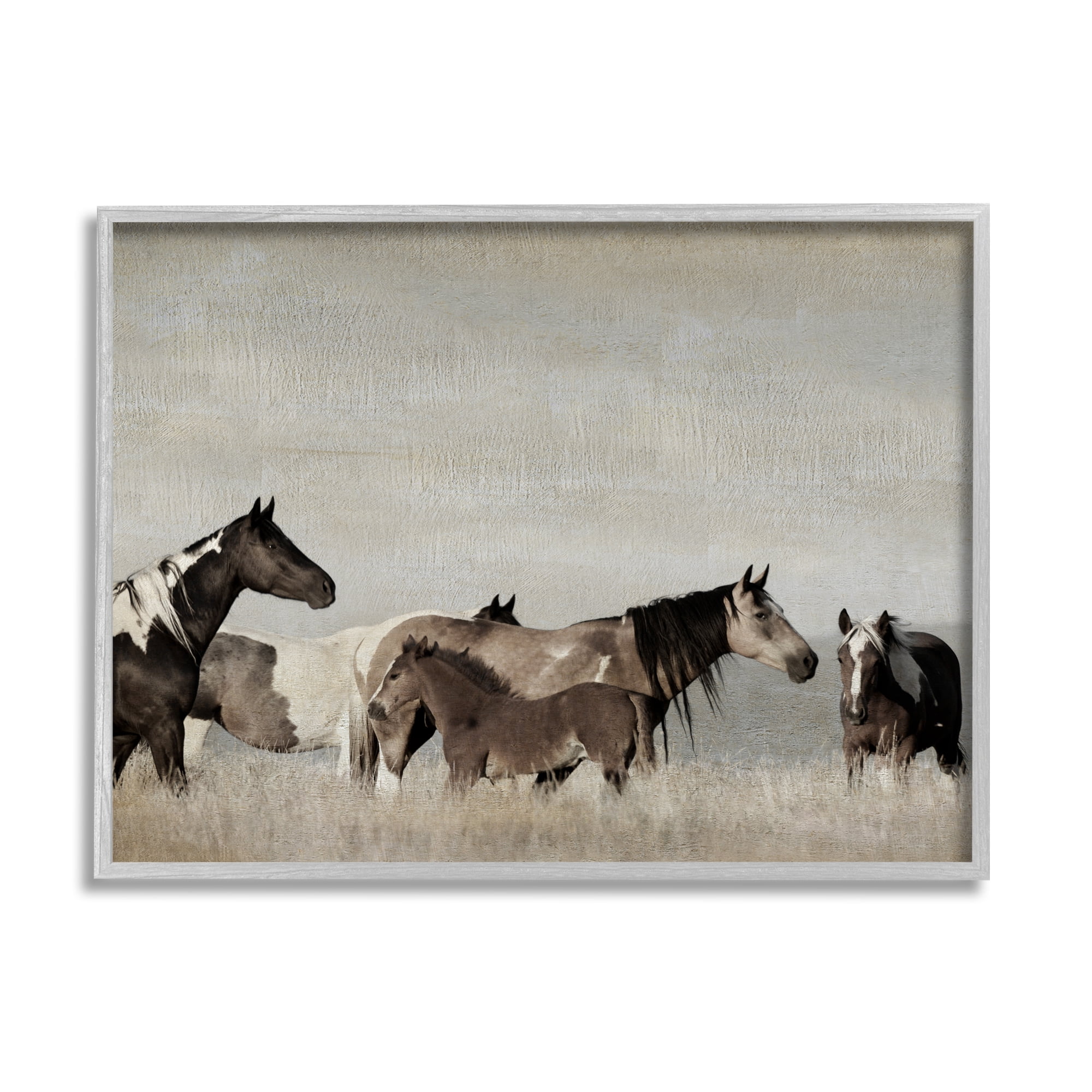 Stupell Industries Horse Herd with Foal Animals & Insects Photography Gray Framed Art Print Wall Art, 20 x 16