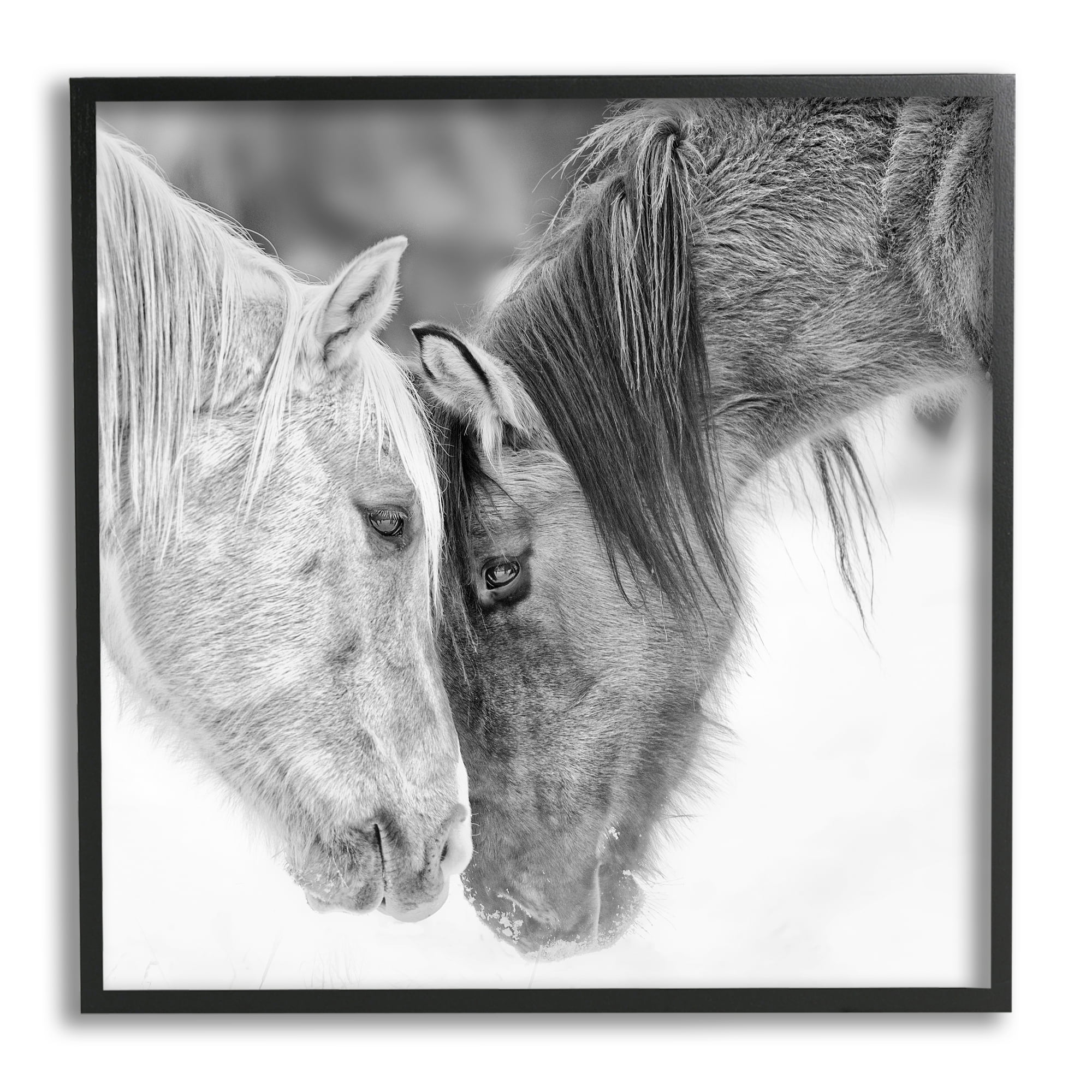 Stupell Industries Horse Hug Photography Animals & Insects Photography Black Framed Art Print Wall Art, 17 x 17