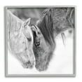 thumbnail image 1 of Stupell Industries Horse Hug Photography Animals & Insects Photography Gray Framed Art Print Wall Art, 12 x 12, 1 of 9