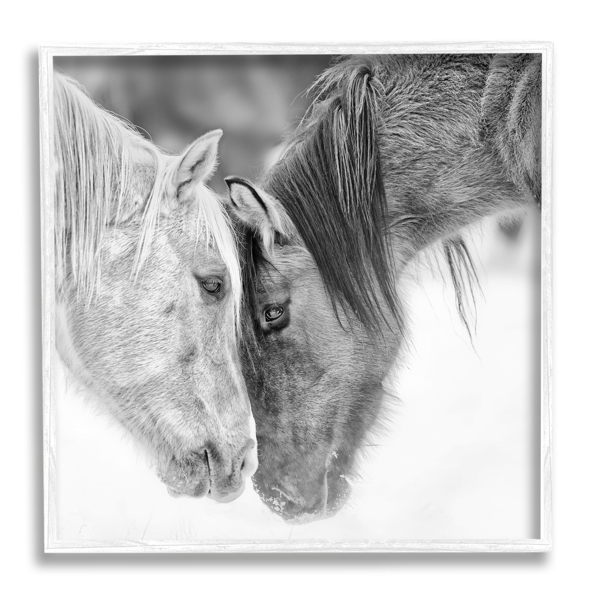 Stupell Industries Horse Hug Photography Animals & Insects Photography White Framed Art Print Wall Art, 12 x 12