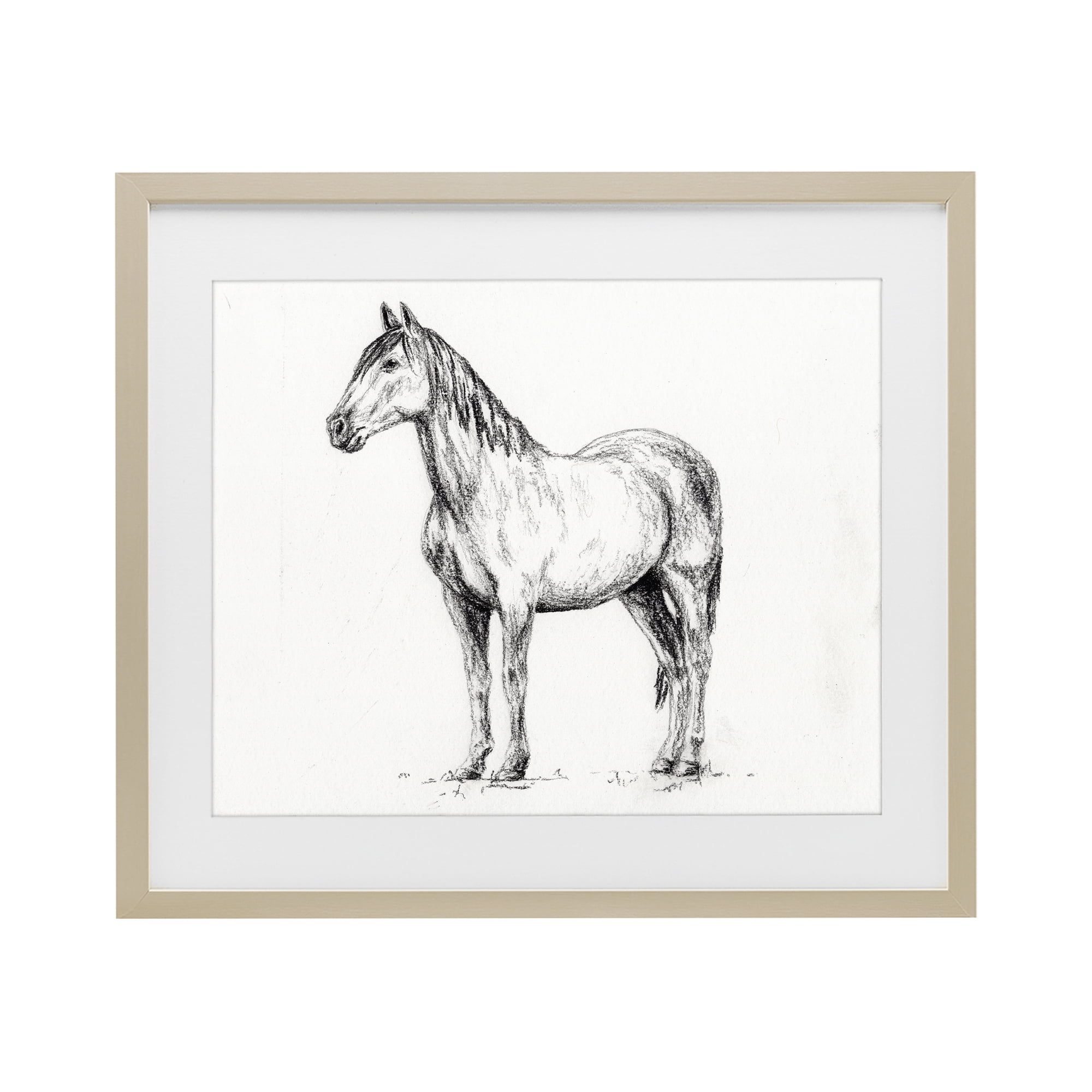 Stupell Industries Horse In Charcoal Birch Framed Print Under Glass, design by Leah Noel Art