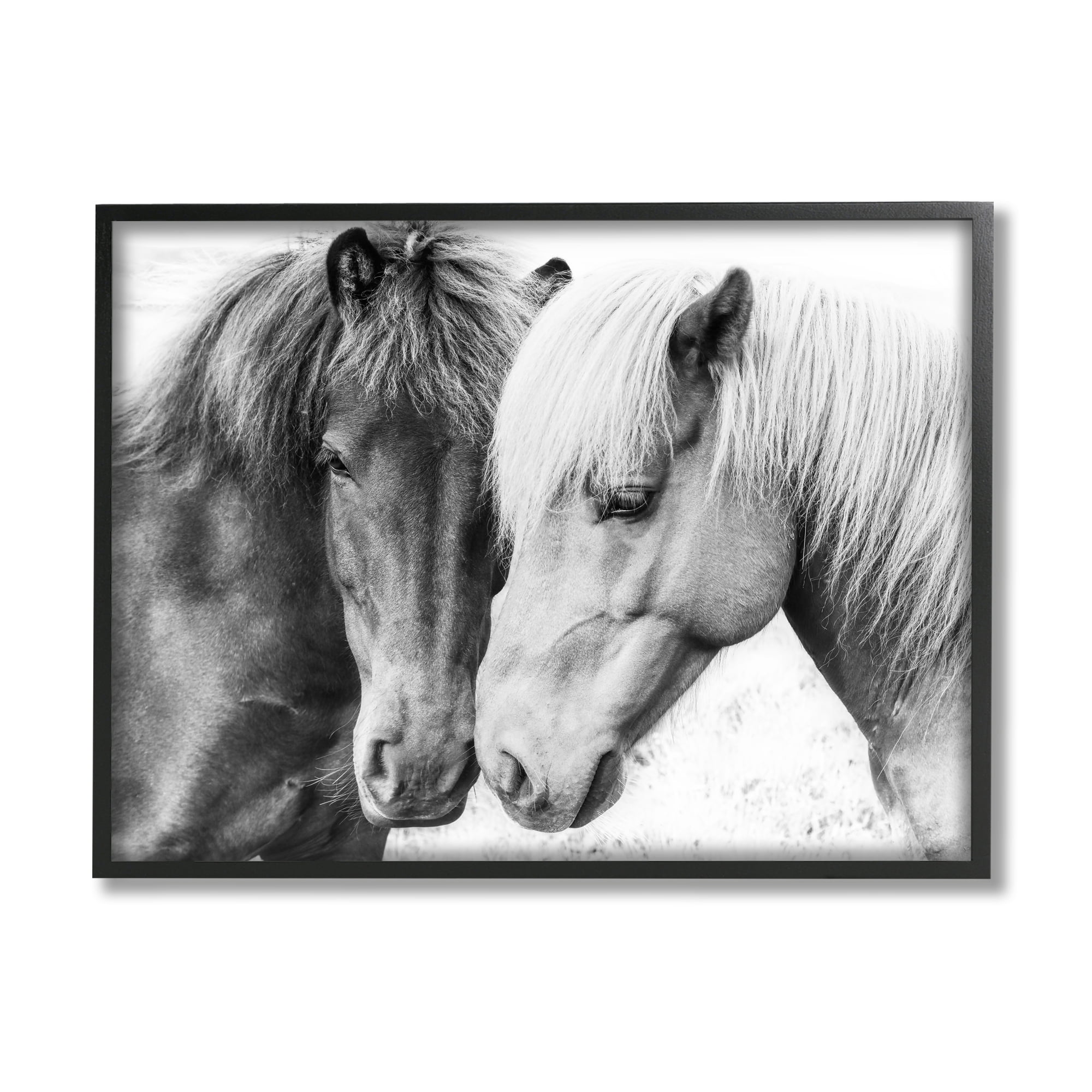 Stupell Industries Horse Love Duo Portrait Animals & Insects Photography Black Framed Art Print Wall Art, 14 x 11