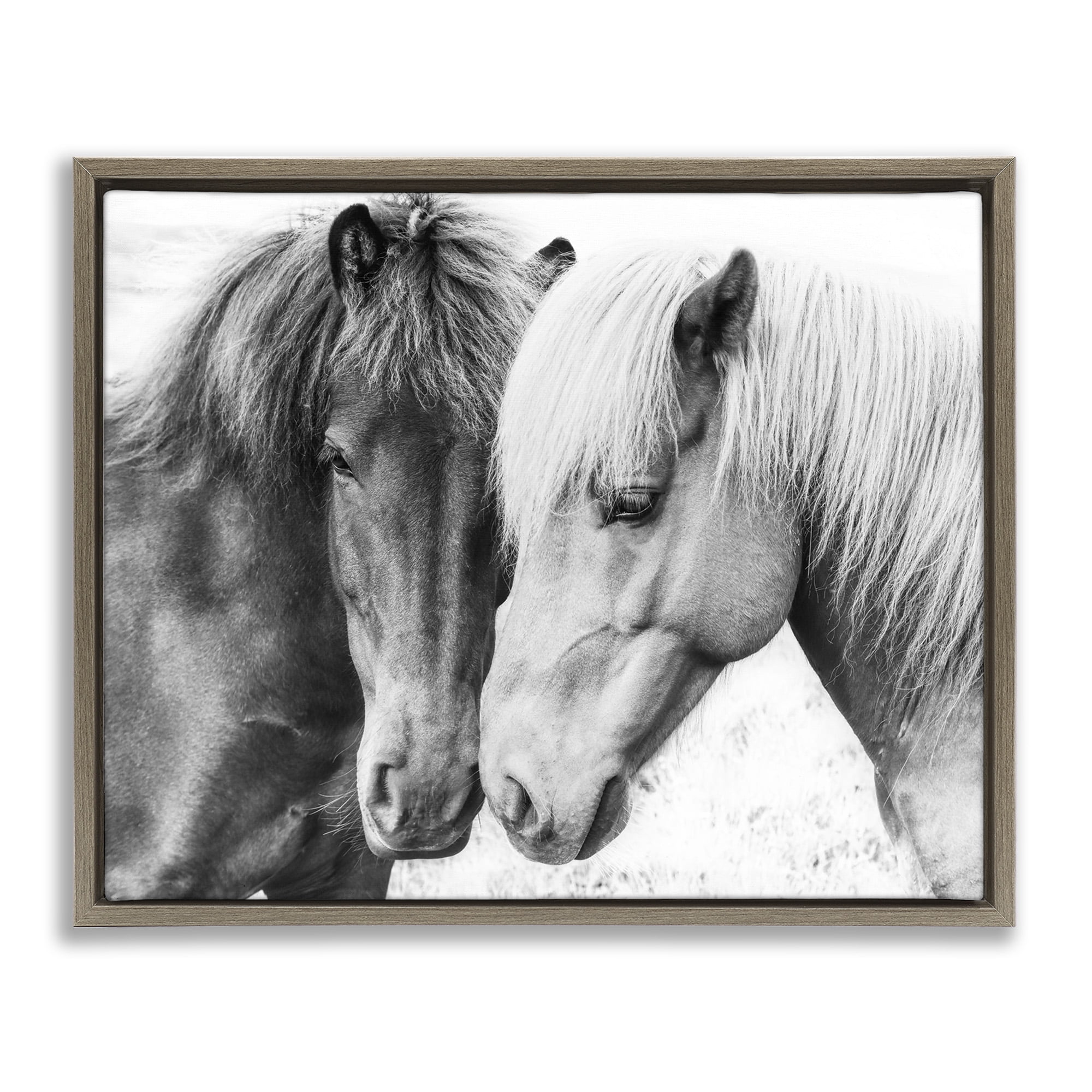 Stupell Industries Horse Love Duo Portrait Animals & Insects Photography Brown Floater Framed Canvas Art Print Wall Art, 21 x 17
