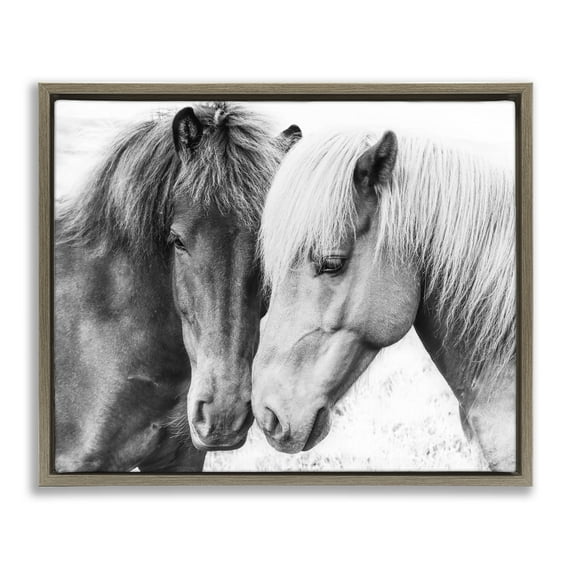 Stupell Industries Horse Love Duo Portrait Animals & Insects Photography Brown Floater Framed Canvas Art Print Wall Art, 31 x 25