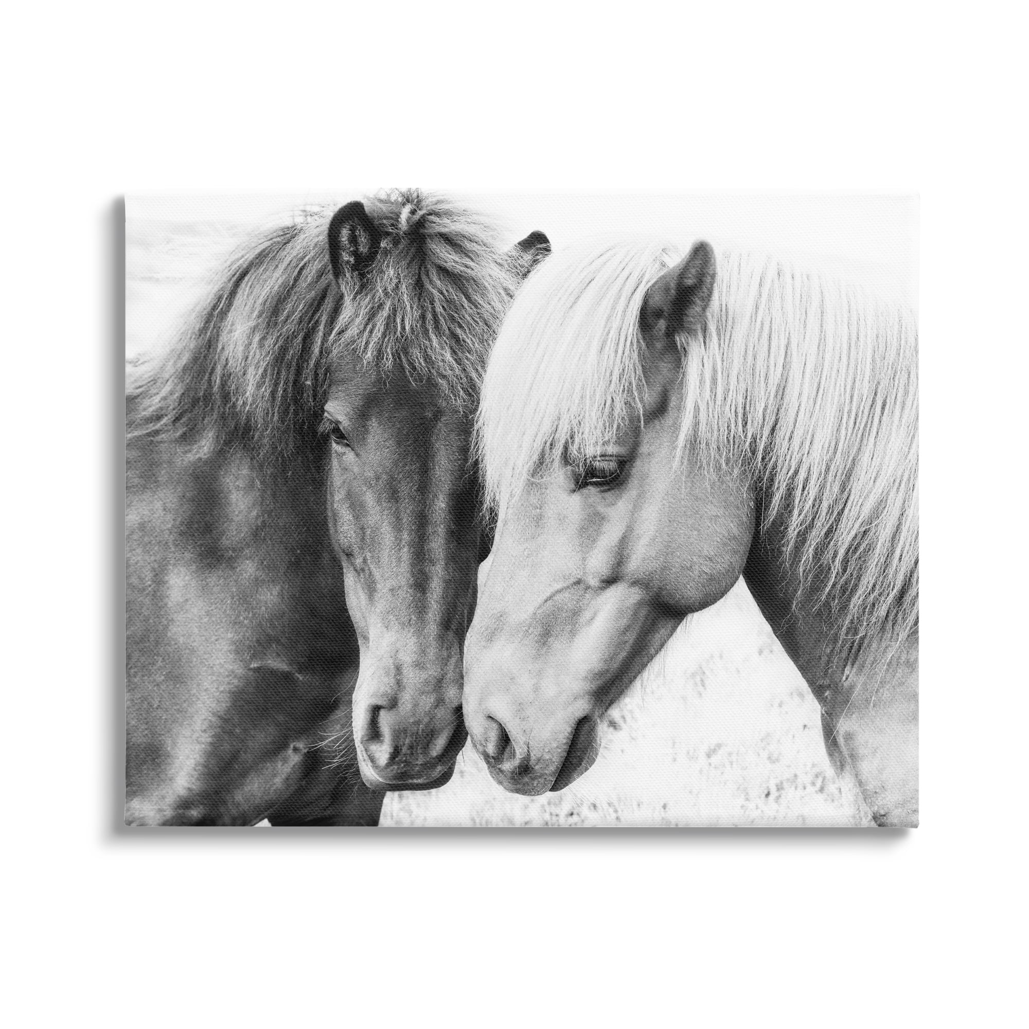 Black and White Horse Duo Portrait Canvas Print, 20" x 16"