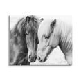 thumbnail image 1 of Stupell Industries Horse Love Duo Portrait Animals & Insects Photography Gallery Wrapped Canvas Print Wall Art, 30 x 24, 1 of 7