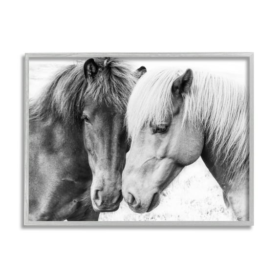 Stupell Industries Horse Love Duo Portrait Animals & Insects Photography Gray Framed Art Print Wall Art, 20 x 16