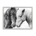thumbnail image 1 of Stupell Industries Horse Love Duo Portrait Animals & Insects Photography Gray Framed Art Print Wall Art, 30 x 24, 1 of 8