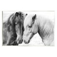 thumbnail image 1 of Stupell Industries Horse Love Duo Portrait Animals & Insects Photography Unframed Art Print Wall Art, 15 x 10, 1 of 6