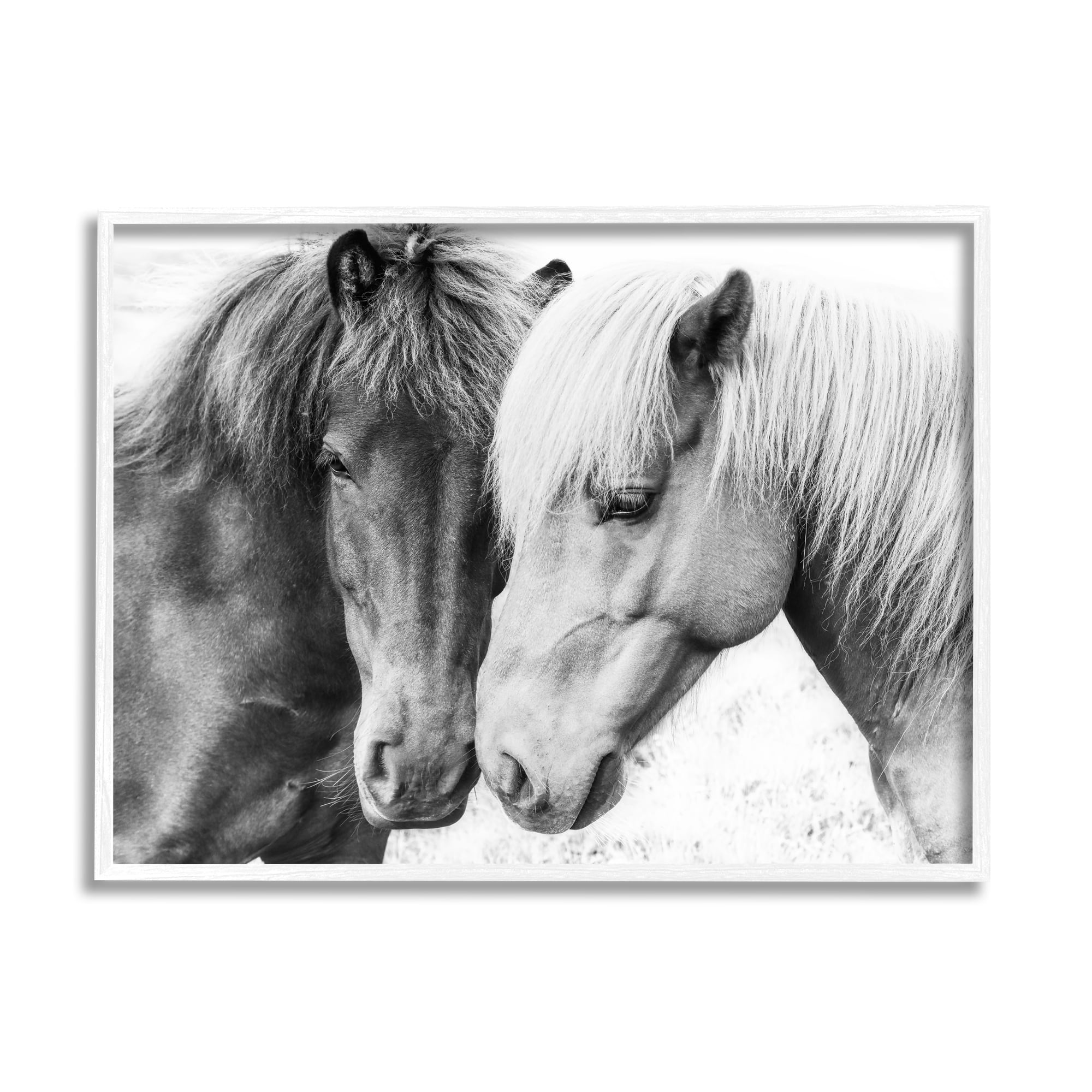 Stupell Industries Horse Love Duo Portrait Animals & Insects Photography White Framed Art Print Wall Art, 30 x 24
