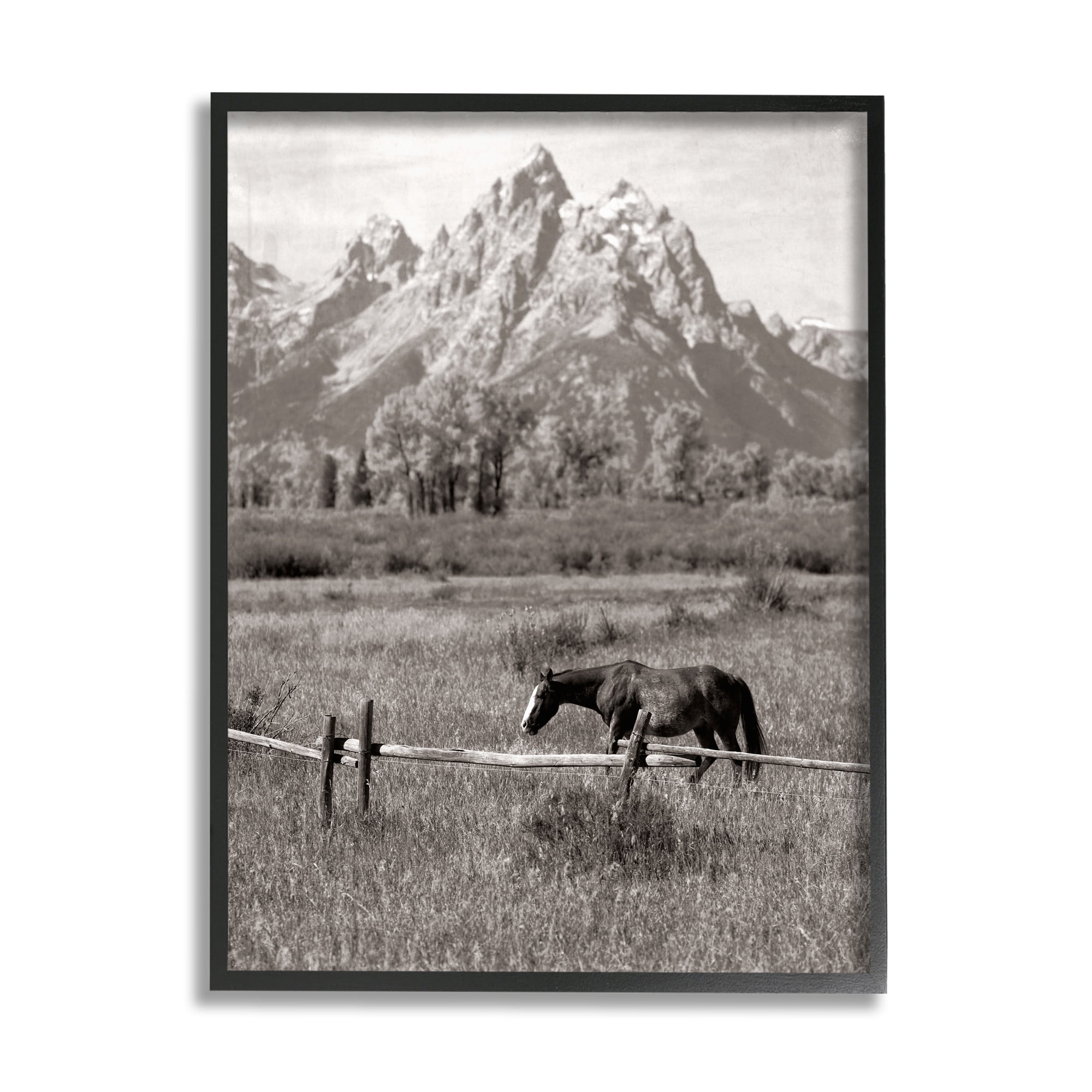 Stupell Industries Horse & Mountain Scenery Landscape Photography Black Framed Art Print Wall Art, 16 x 20