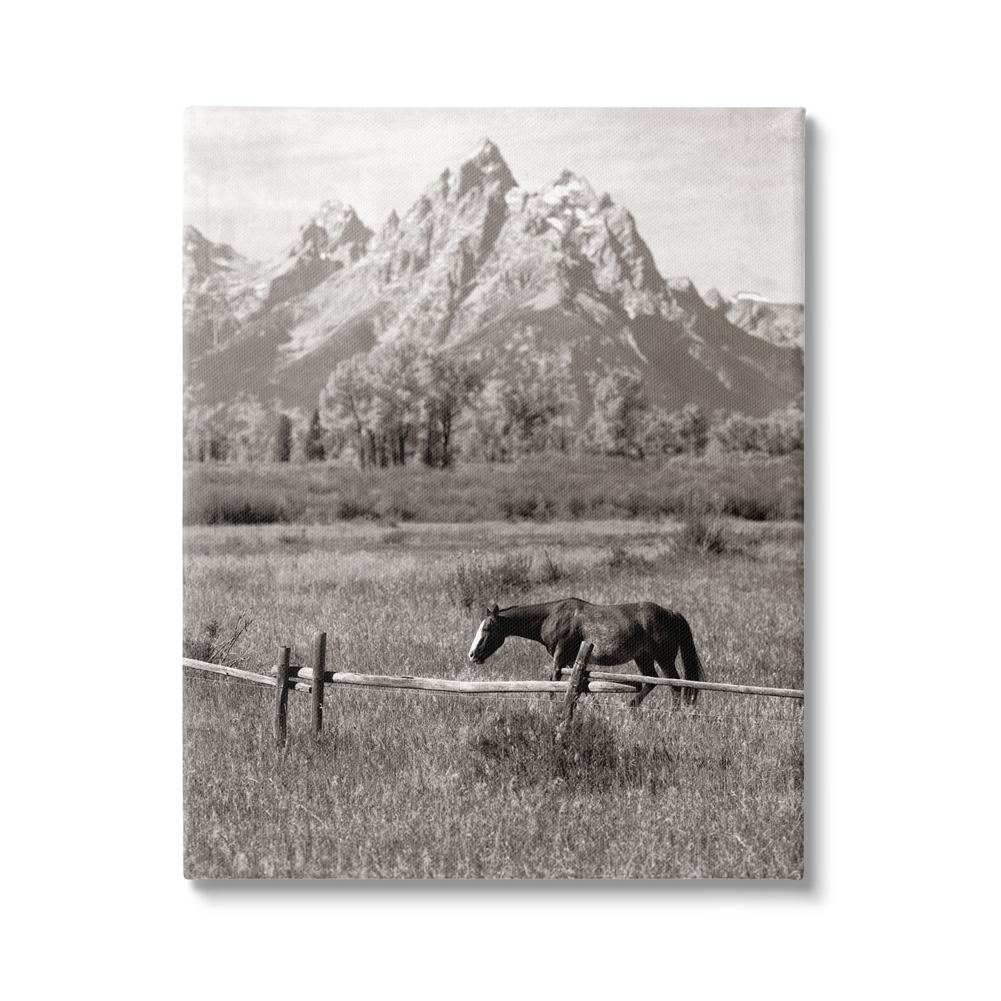 Stupell Industries Horse & Mountain Scenery Landscape Photography Gallery Wrapped Canvas Art Print Wall Art, 24 x 30