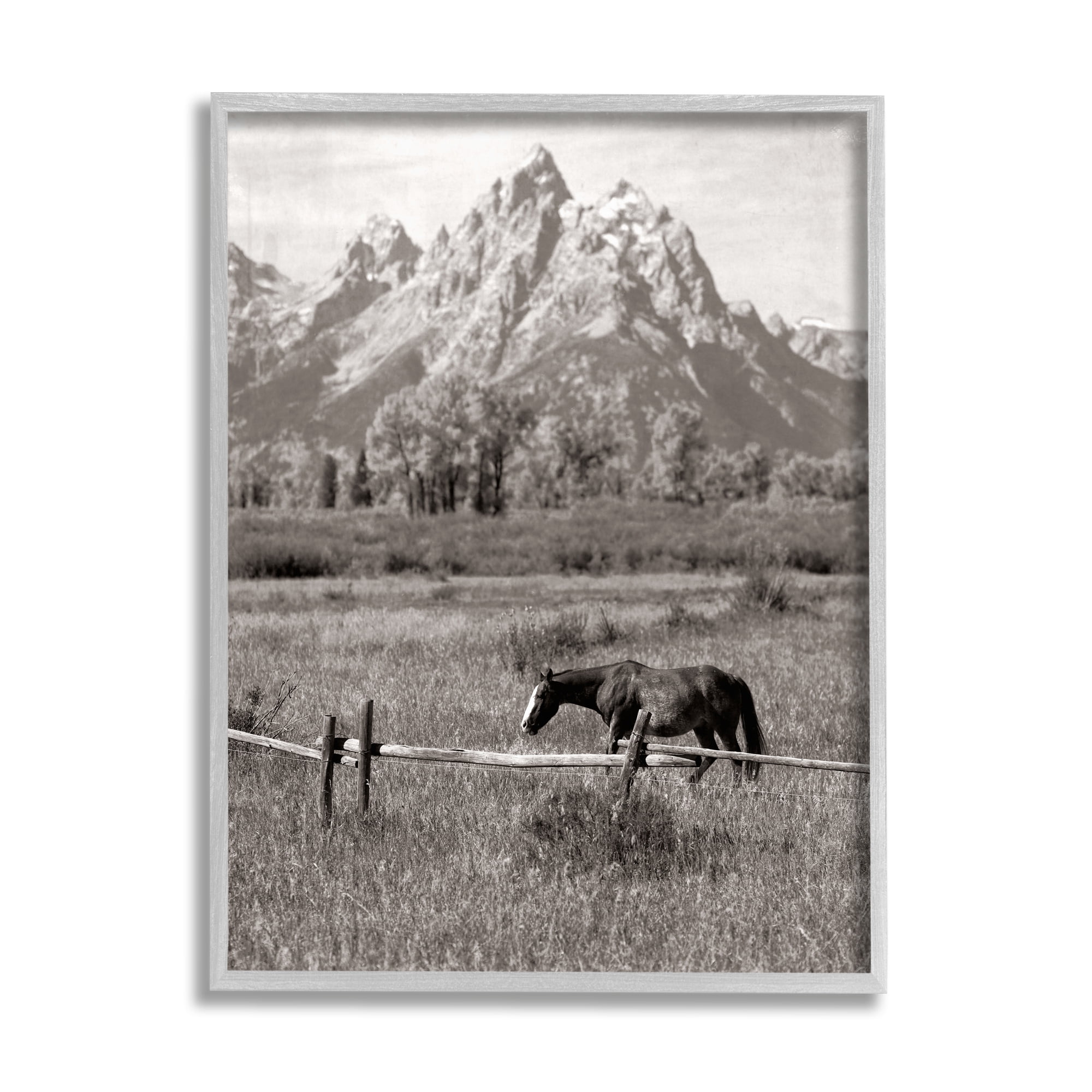 Stupell Industries Horse & Mountain Scenery Landscape Photography Gray Framed Art Print Wall Art, 24 x 30