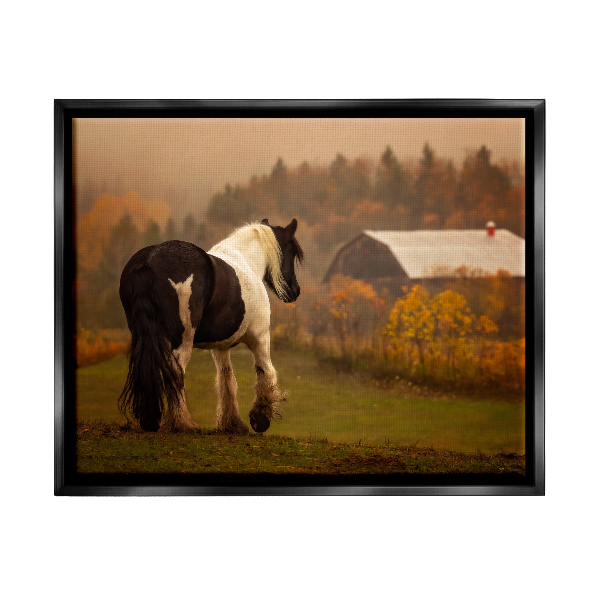 Stupell Industries Horse Overlooking Barn Landscape Photography Black Floater Framed Canvas Art Print Wall Art, 31 x 25