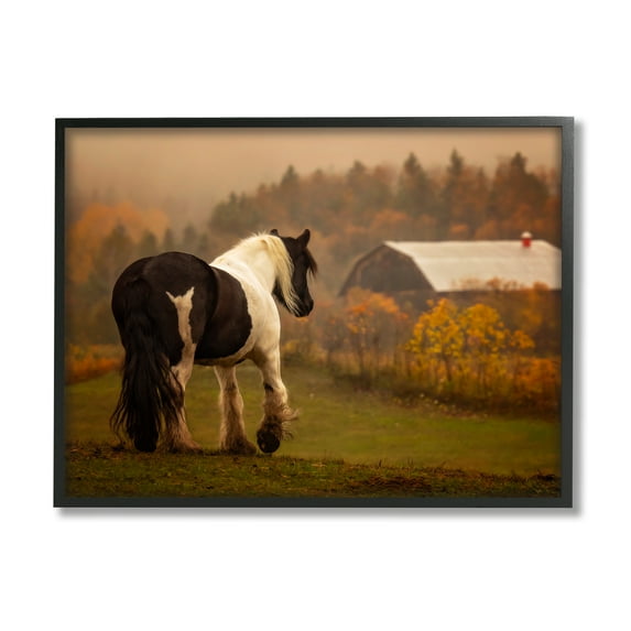 Stupell Industries Horse Overlooking Barn Landscape Photography Black Framed Art Print Wall Art, 30 x 24