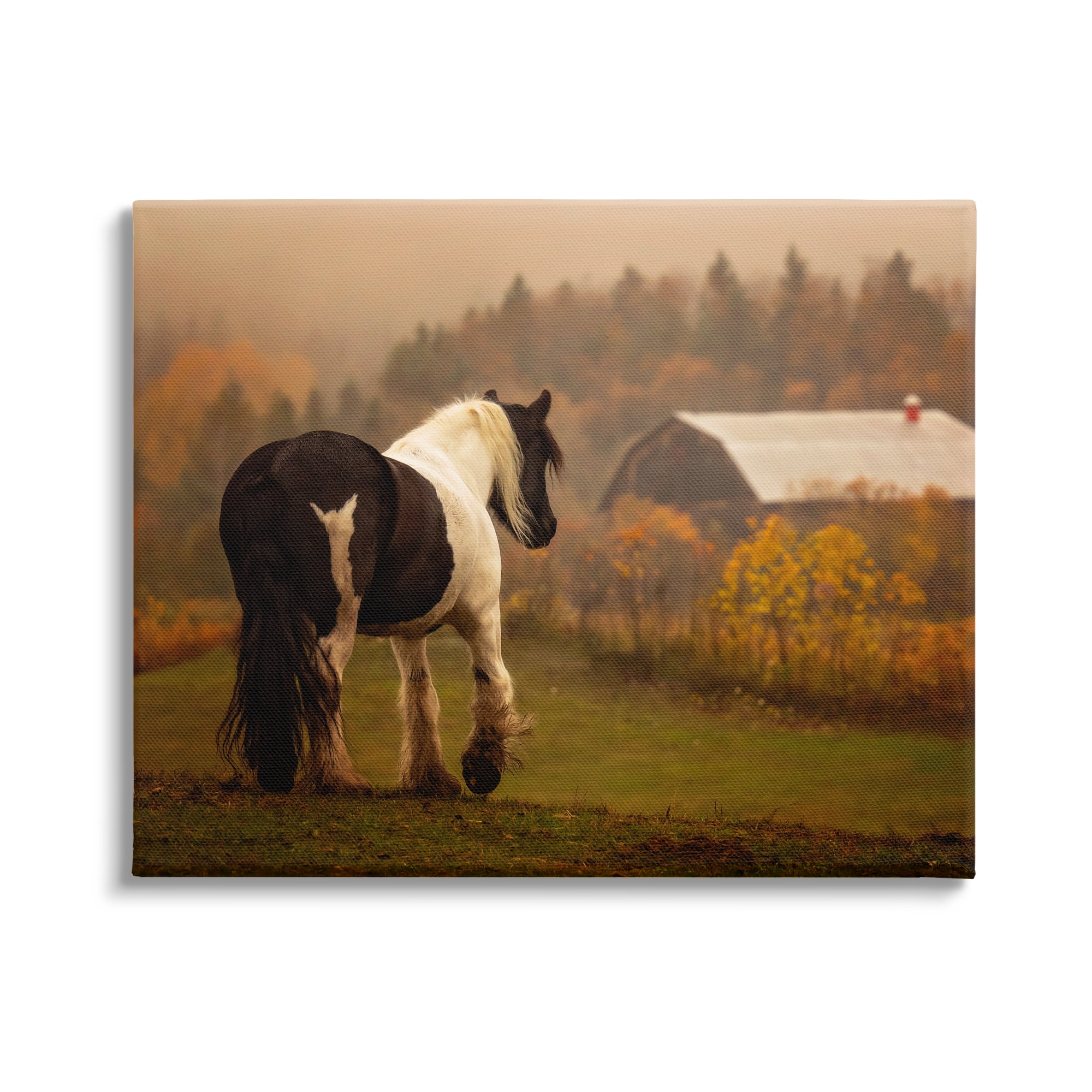 Stupell Industries Horse Overlooking Barn Landscape Photography Gallery Wrapped Canvas Art Print Wall Art, 40 x 30