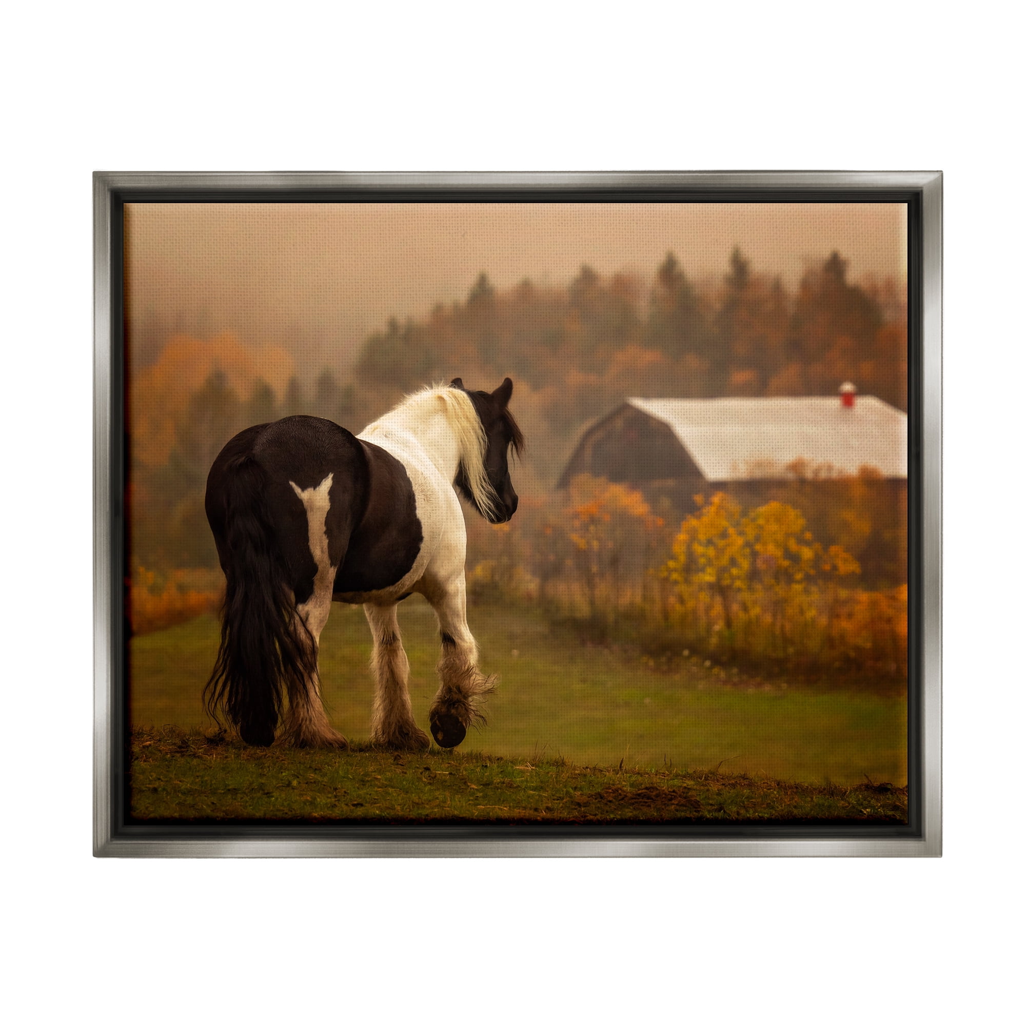 Stupell Industries Horse Overlooking Barn Landscape Photography Gray Floater Framed Canvas Art Print Wall Art, 31 x 25