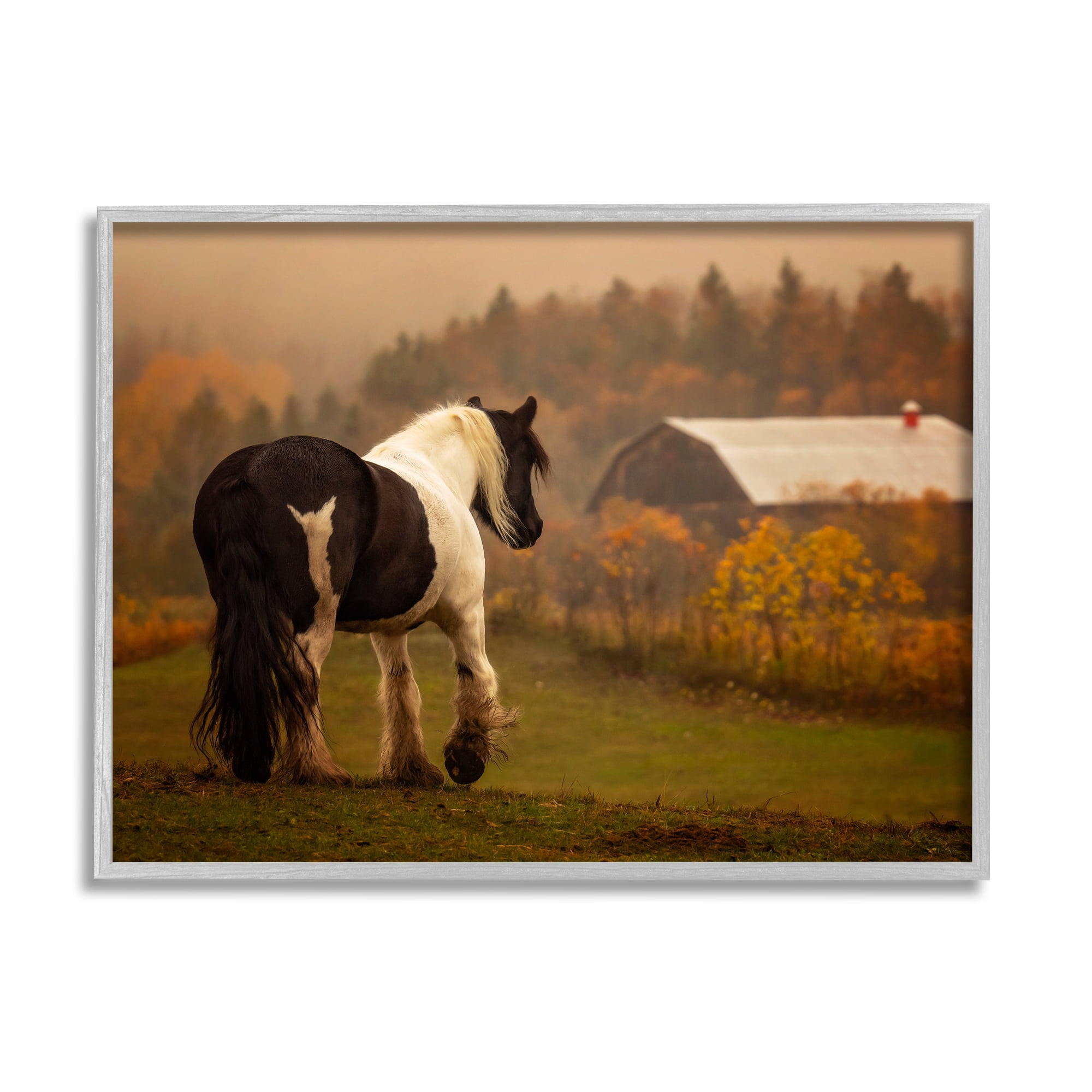 Stupell Industries Horse Overlooking Barn Landscape Photography Gray Framed Art Print Wall Art, 14 x 11