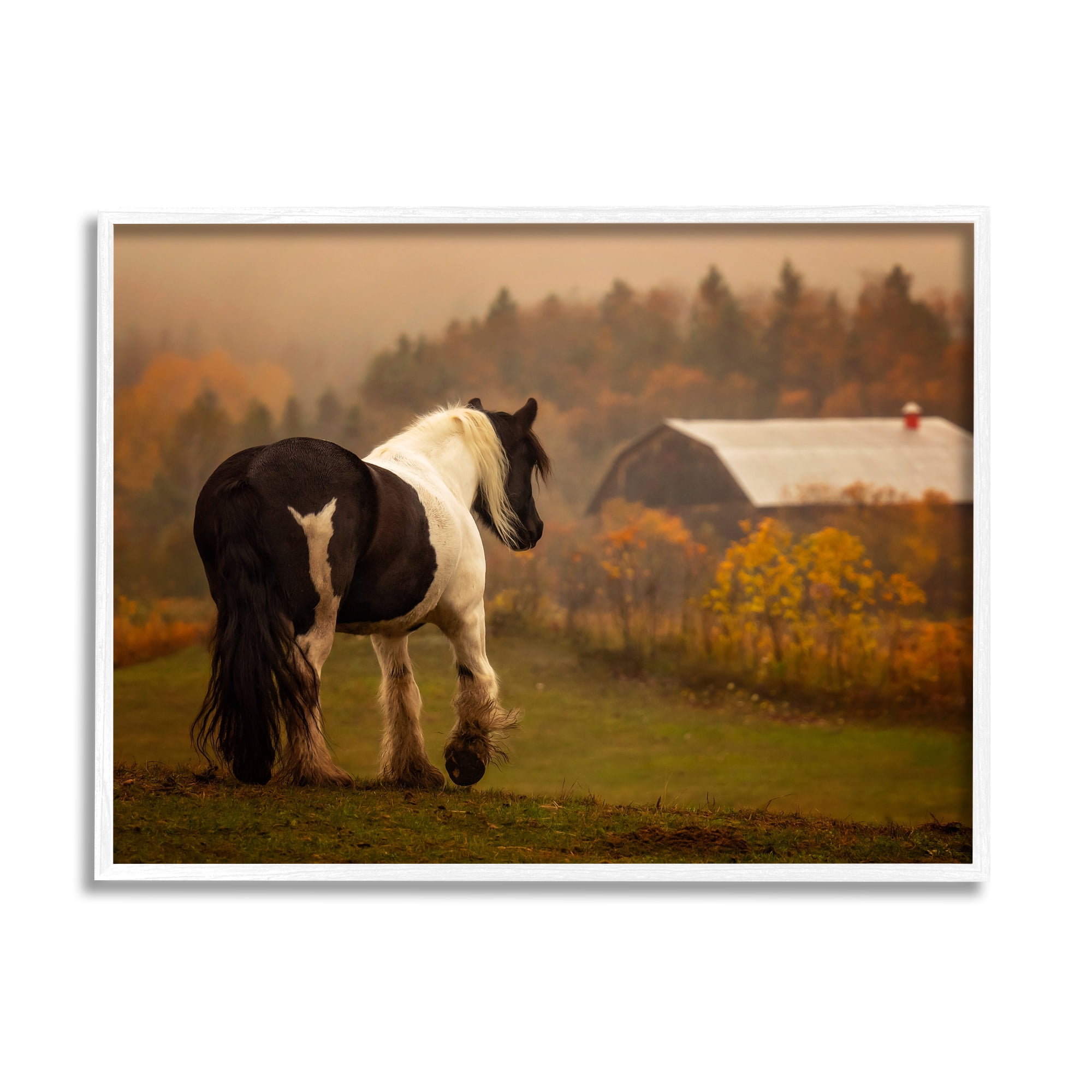 Stupell Industries Horse Overlooking Barn Landscape Photography White Framed Art Print Wall Art, 20 x 16