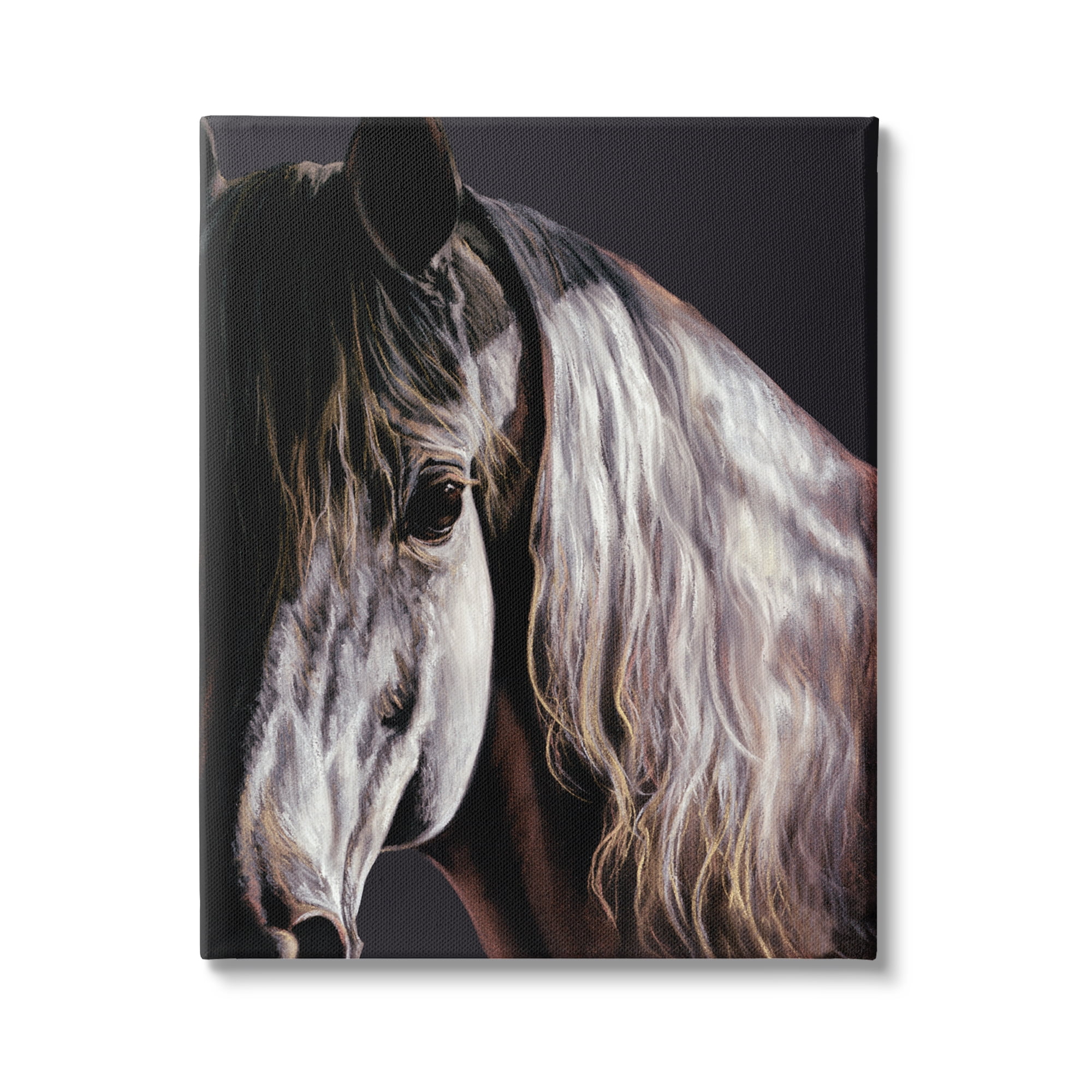 Stupell Industries Horse Portrait in Shadow Animals & Insects Painting Gallery Wrapped Canvas Print Wall Art, 36 x 48