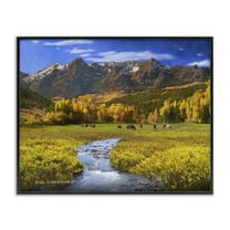 Stupell Industries Horse Ranch Autumn View Landscape & Nature Photography Black Framed Art Print Wall Art, 14 x 11