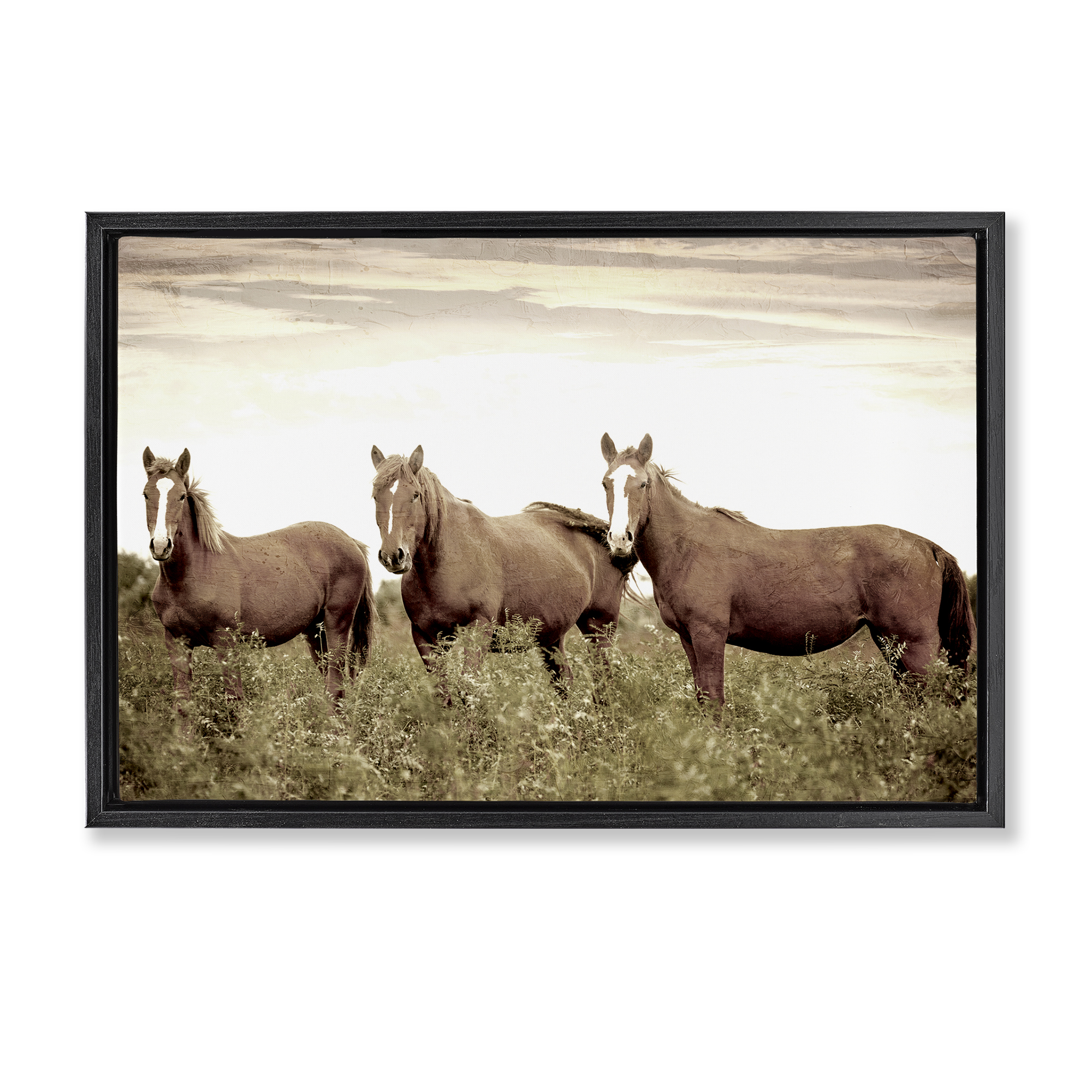 Stupell Industries Horse Trio Gaze Animals Painting Black Floater Framed Canvas Art Print Wall Art, 31 x 21