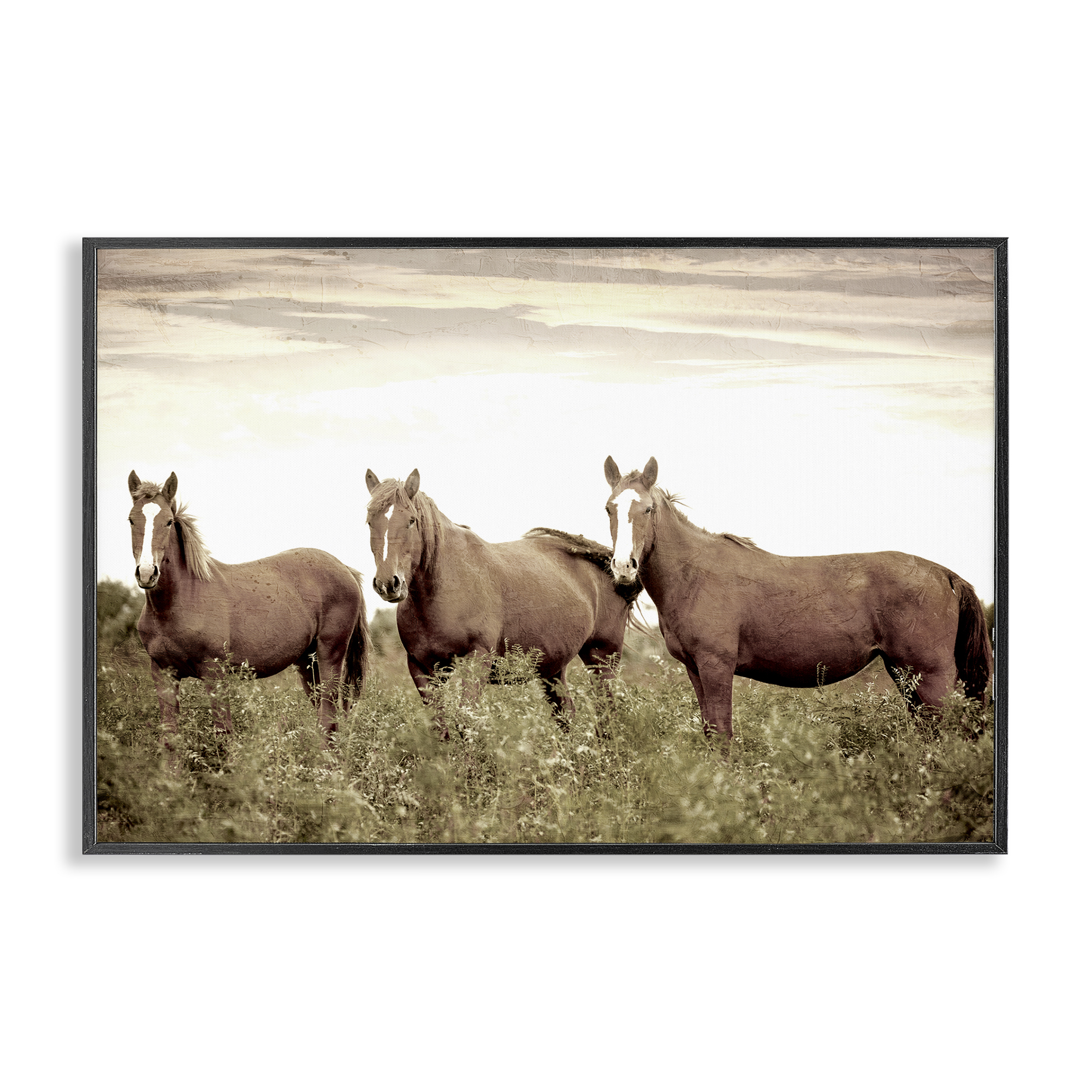 Stupell Industries Horse Trio Gaze Animals Painting Black Framed Art Print Wall Art, 18 x 12