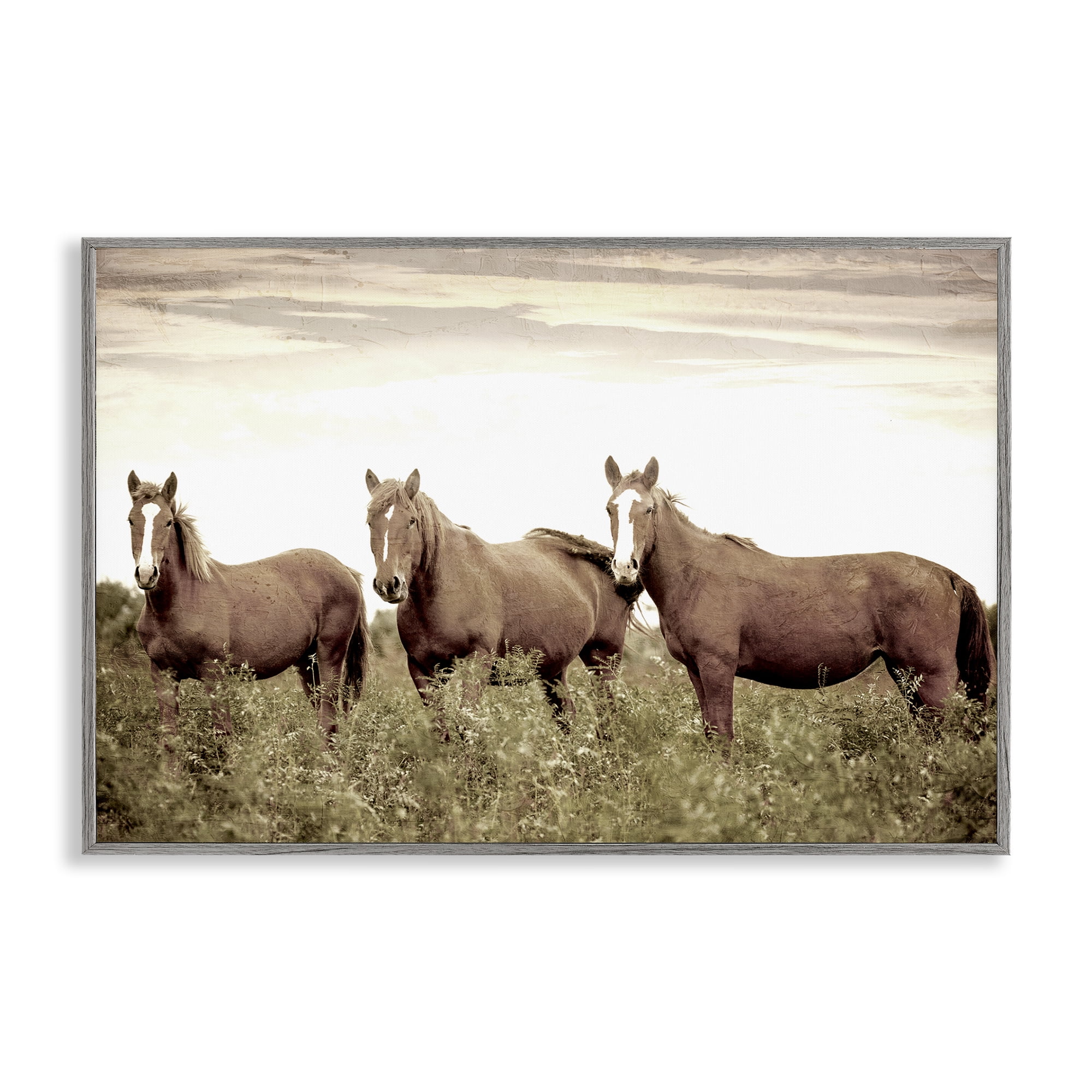Stupell Industries Horse Trio Gaze Animals Painting Gray Framed Art Print Wall Art, 18 x 12